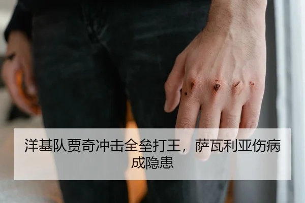 yang-ji-dui-jia-qi-chong-ji-quan-lei-da-wang-sa-wa-li-ya-shang-bing-cheng-yin-huan-2-520.jpg