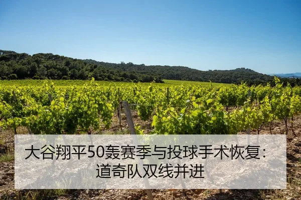 大谷翔平50轰赛季与投球手术恢复：道奇队双线并进