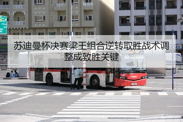 su-di-man-bei-jue-sai-liang-wang-zu-he-ni-zhuan-qu-sheng-zhan-shu-tiao-zheng-cheng-zhi-sheng-guan-jian-3-259.jpg